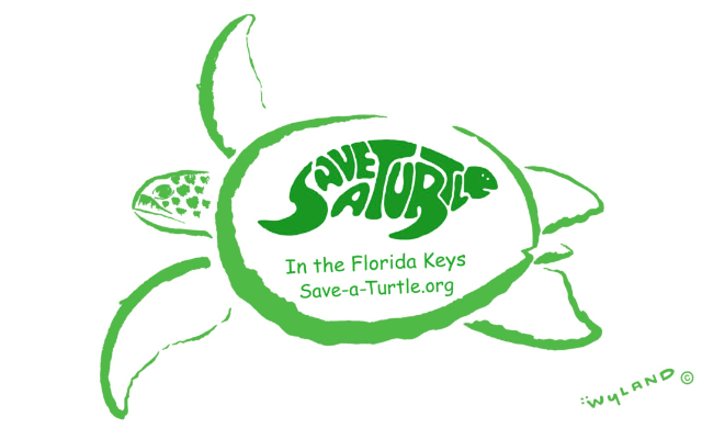 Save a Turtle