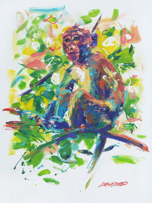 Monkey Do