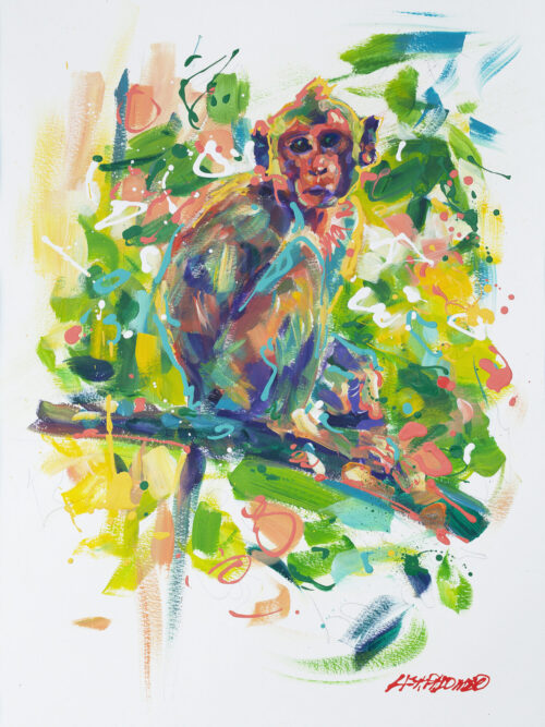 Monkey See