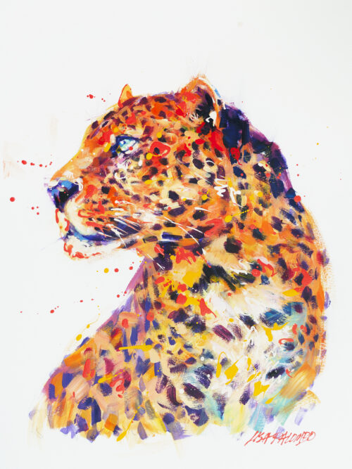 Leopard (Louis)