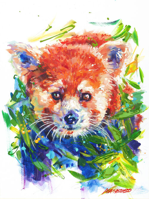 Jerry Red Panda