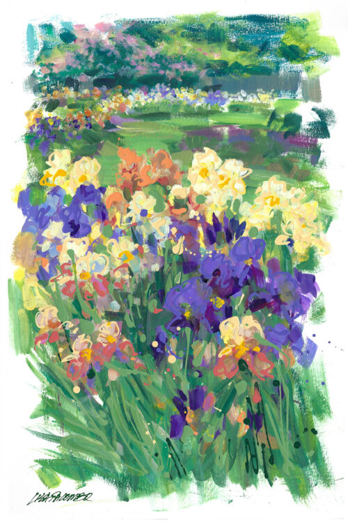 Across the Iris Garden