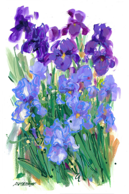 Violet Harmony