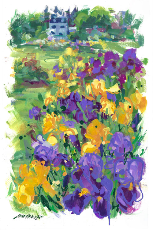 Where the Irises Grow